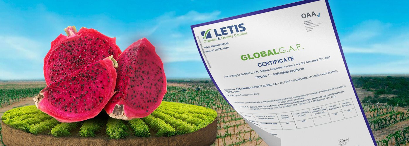 PORTADA CERTIFICACIONES