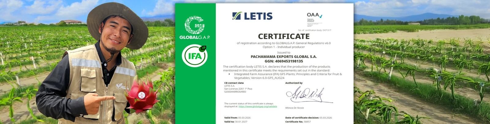 Técnico del Megaproyecto Pachamama en el cultivo de pitahaya junto al certificado GLOBALG.A.P.