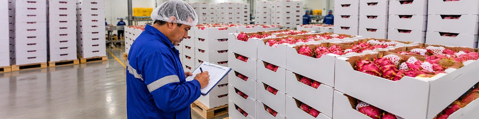 Operario registrando cajas de pitahaya en la planta de empaque del Megaproyecto Pachamama