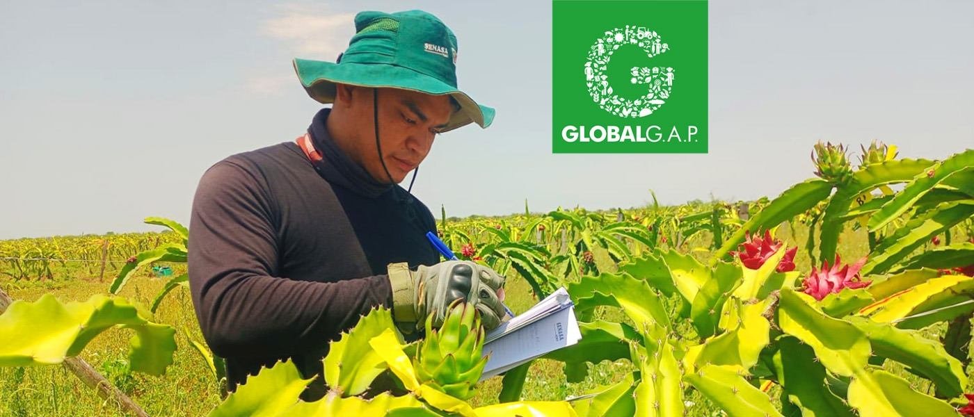 Registro escrito de labores en el cultivo de pitahaya