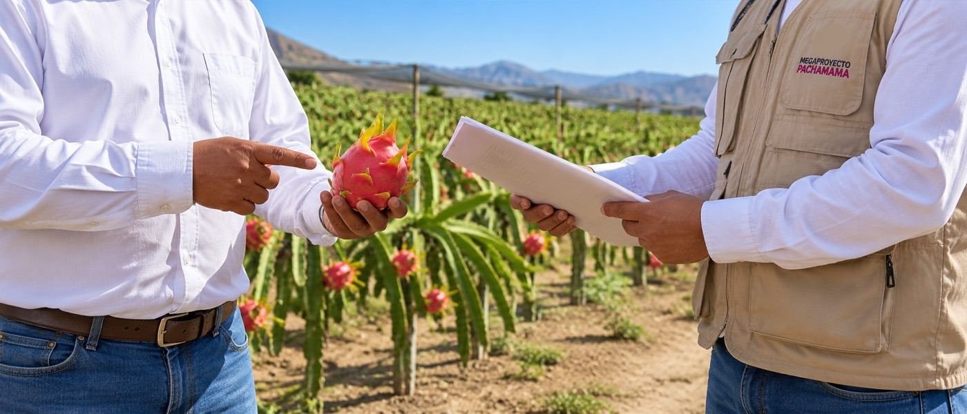 Dos personas revisando documentos del lote en el campo del Megaproyecto Pachamama